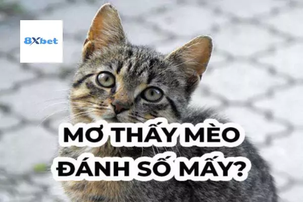 Con Mèo Số Mấy Lô Đề? 8xbet Giải Mã Ý Nghĩa Và Những Con Số May Mắn Liên Quan Đến Mèo